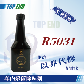 Top end【R5031車(chē)內(nèi)殺菌除味劑】